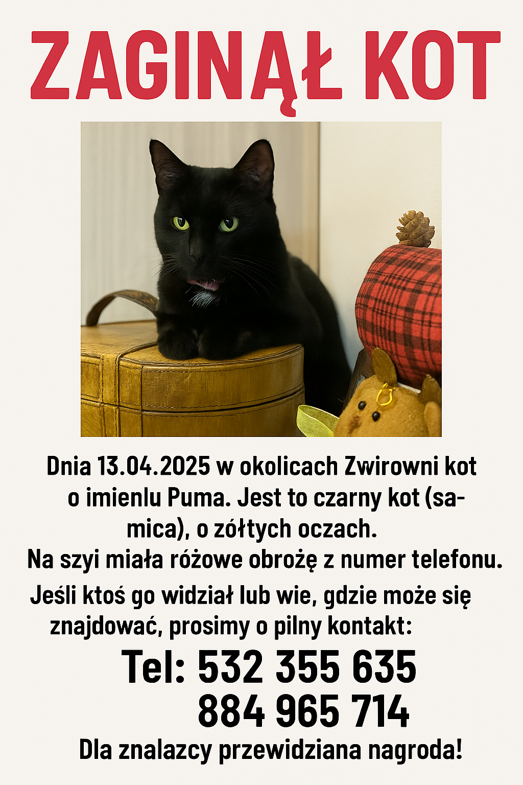 Zaginął kot Puma