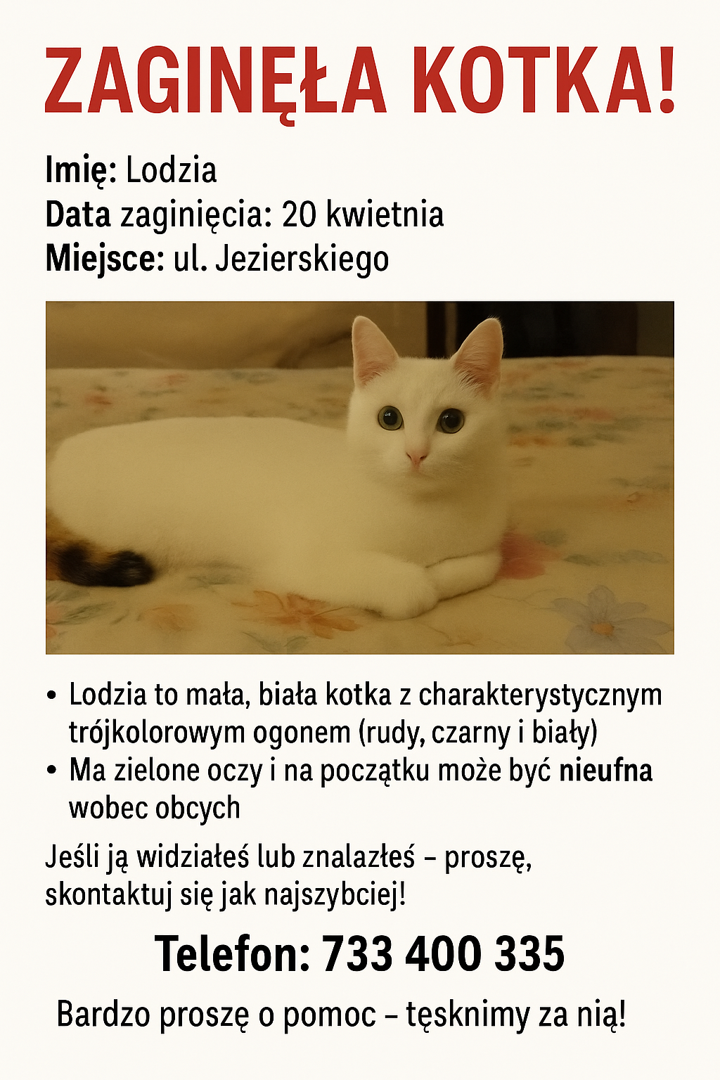 Zaginęła kotka Lodzia