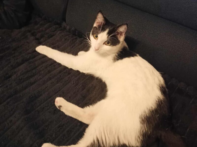 Osetno sierpień 2024