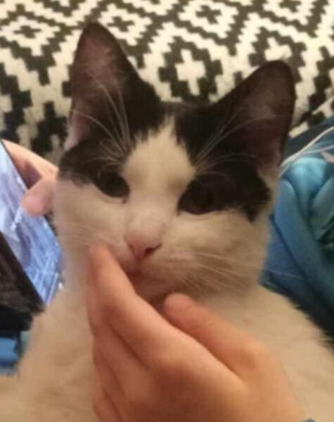 Osetno sierpień 2024