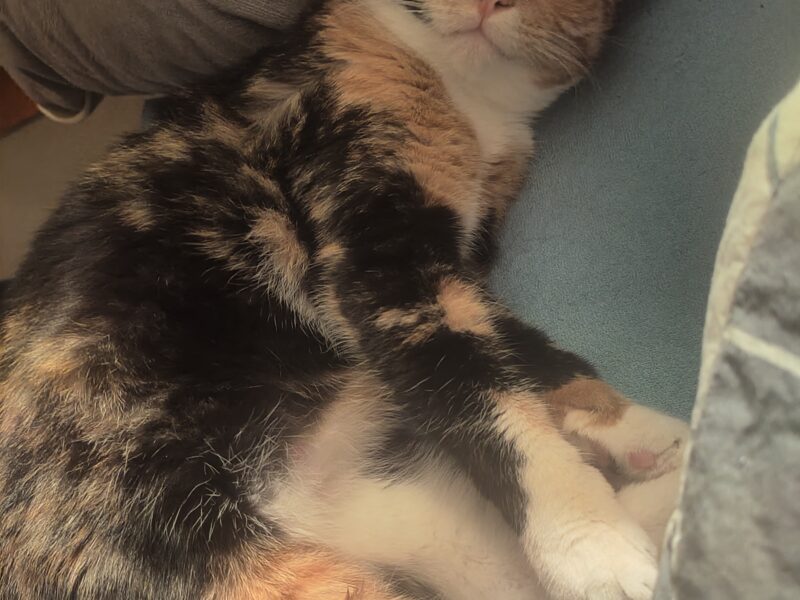 Proszę o pomoc w odnalezieniu