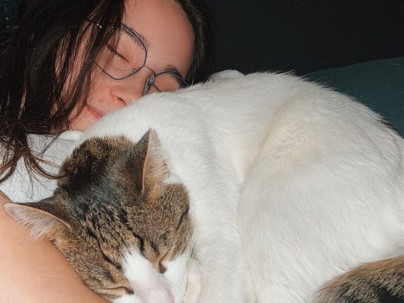 Zaginął Kot Ploniu