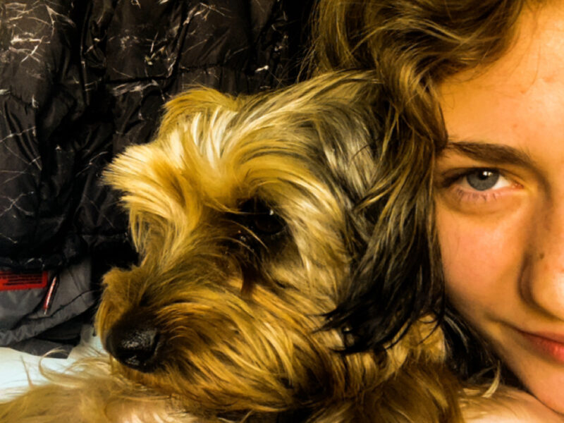 Zaginął piesek Karmel