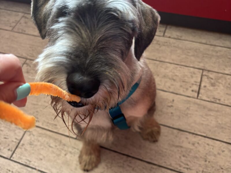 Poszukiwany uciekinier Astro