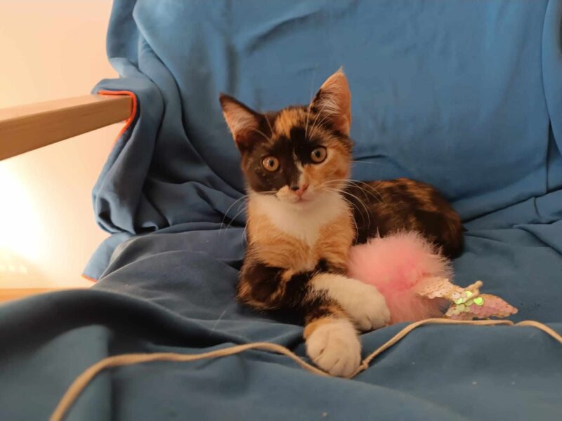 Proszę o pomoc w odnalezieniu