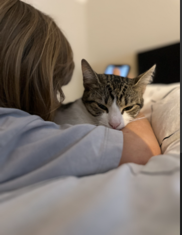 ZAGINĘŁA KOTKA BLETKA !!!