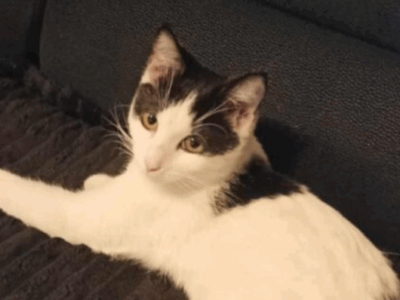 Osetno sierpień 2024