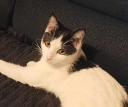 Osetno sierpień 2024