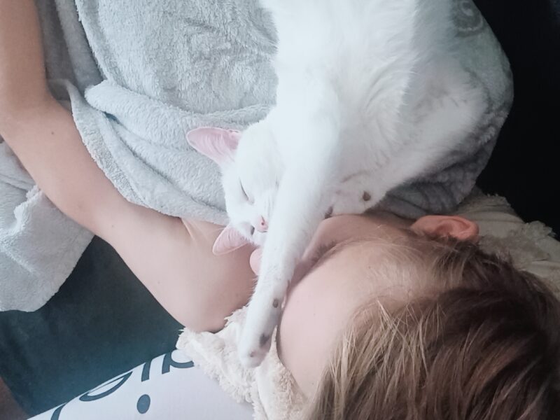 Zaginęła biała kotka Kropcia