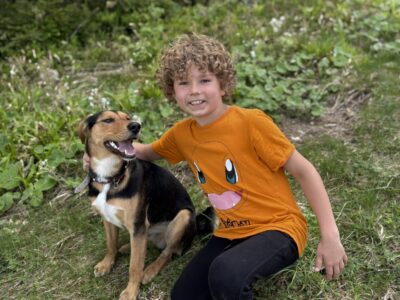 Zaginął Pies Frodo