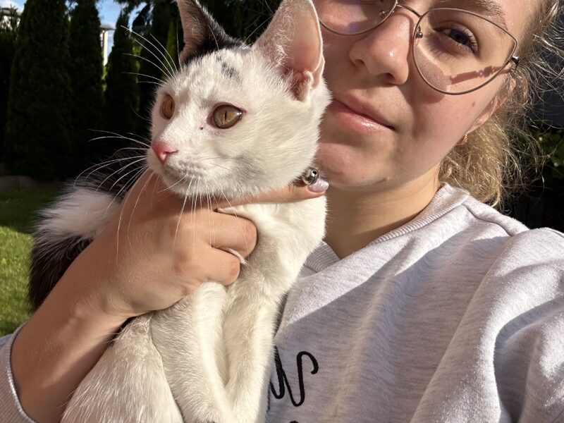 Zaginął kotek Skif