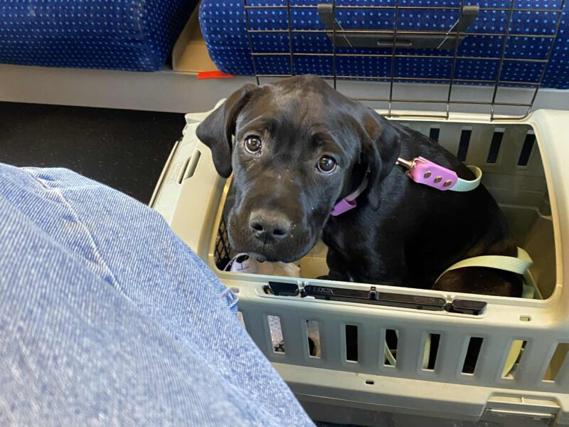 ZAGINEŁA Birma vel Becia