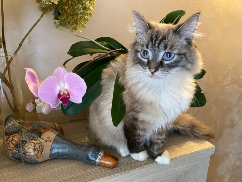 ODNALEZIONY <3 Środa Śląska dolnośląskie