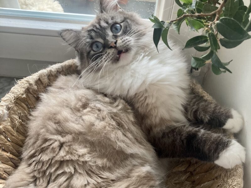 ODNALEZIONY <3 Środa Śląska dolnośląskie