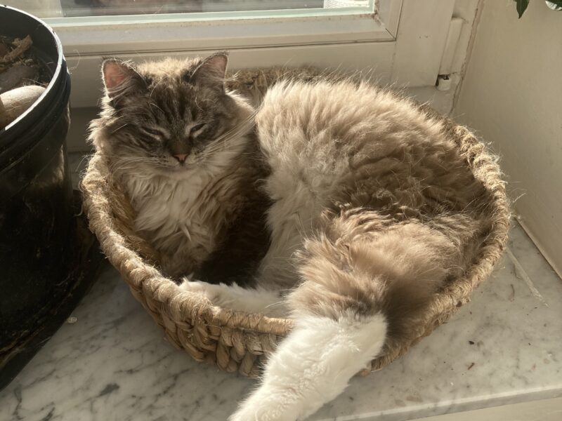 ODNALEZIONY <3 Środa Śląska dolnośląskie