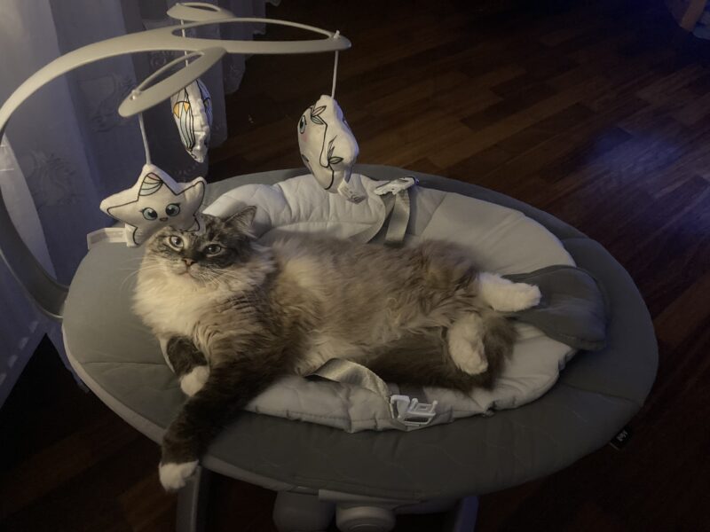 ODNALEZIONY <3 Środa Śląska dolnośląskie