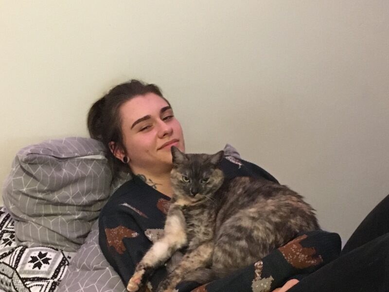 Zaginęła kotka Lunka