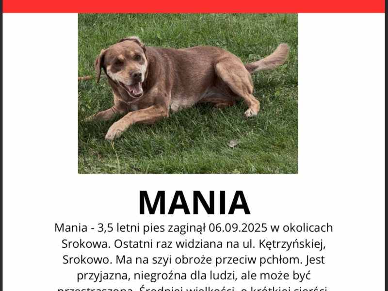 Zaginęła suczka Mania