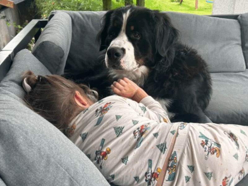 Zaginął pies Astor