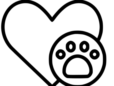 Zaginął Piesek Bolo