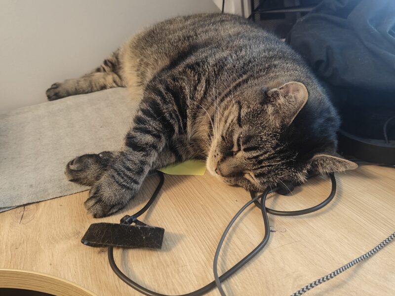 Zaginął Rokuś - okolice Mikołajek