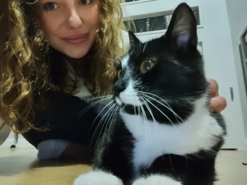 ZAGINĄŁ KOT OZZY! TYCHY os.H