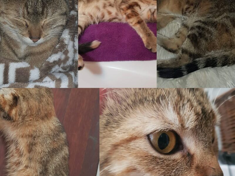 Poszukiwana od 2023 Nabi