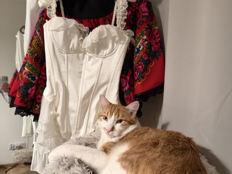 Zaginął rudo biały kotek Koszalin