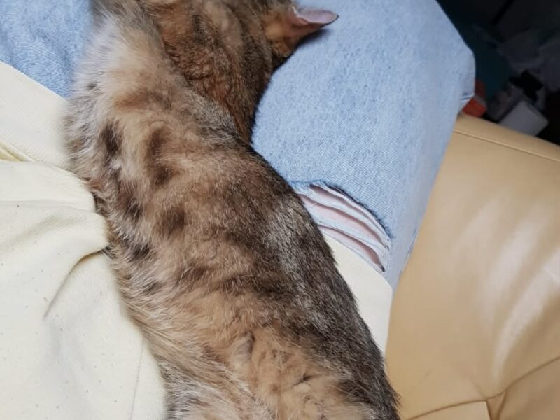 Poszukiwana od 2023 Nabi