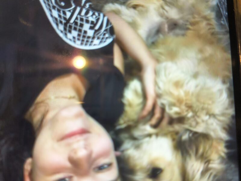 Zaginęła moja kudłata przyjaciółka