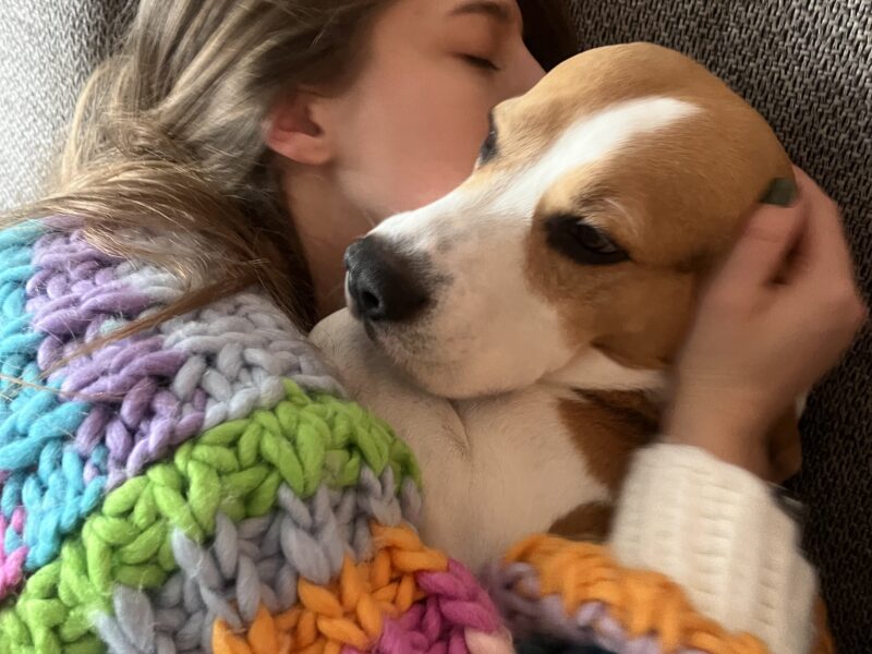 Zaginął pies rasy Beagle 01.01.2025 Skiper