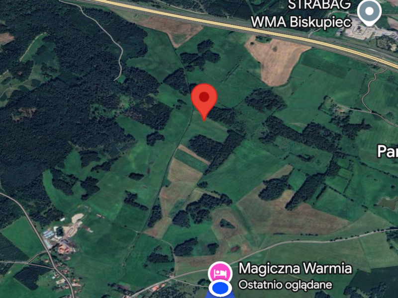 Zaginął pies rasy Beagle 01.01.2025 Skiper