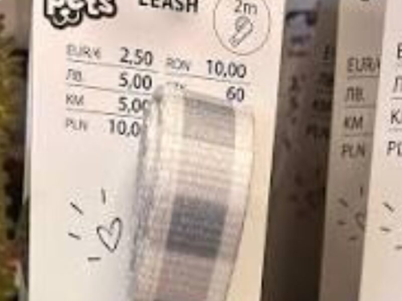 Zaginęła FIFI - ruda suczka - jamnik