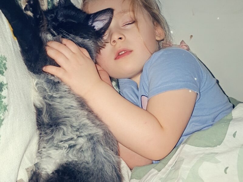 🆘 TO MŁODY KOTEK — MOŻE NIE PRZEŻYĆ NA ZEWNĄTRZ! 🆘