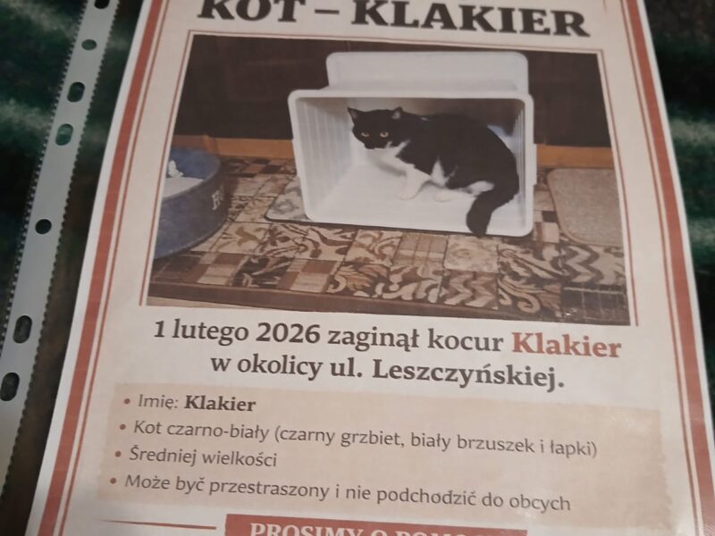 Zaginął Kot Klakier