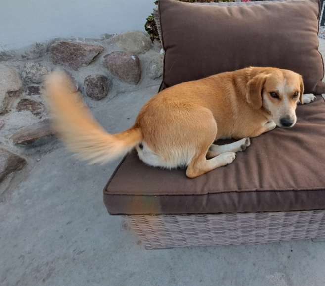 Pilne!!!!!!! Pomóżcie ❤