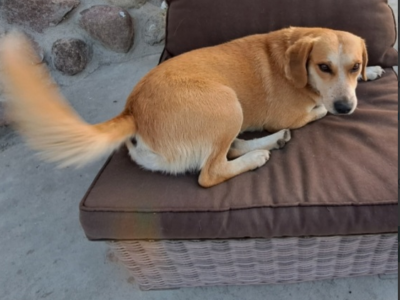 Pilne!!!!!!! Pomóżcie ❤