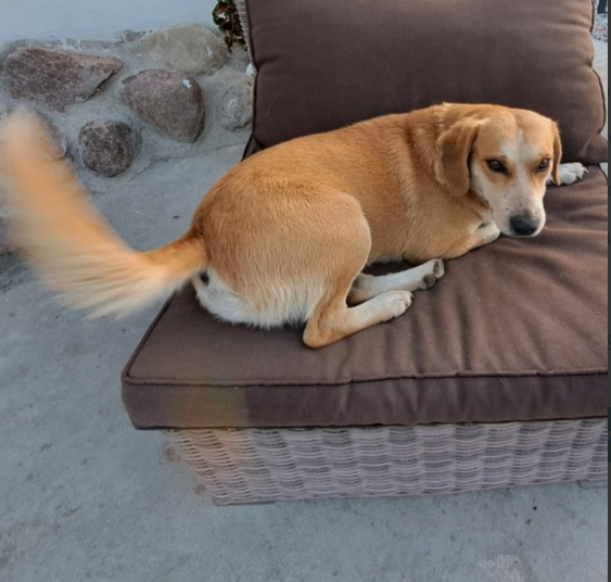 Pilne!!!!!!! Pomóżcie ❤