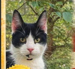 Amator podróży Kochany Recydywista