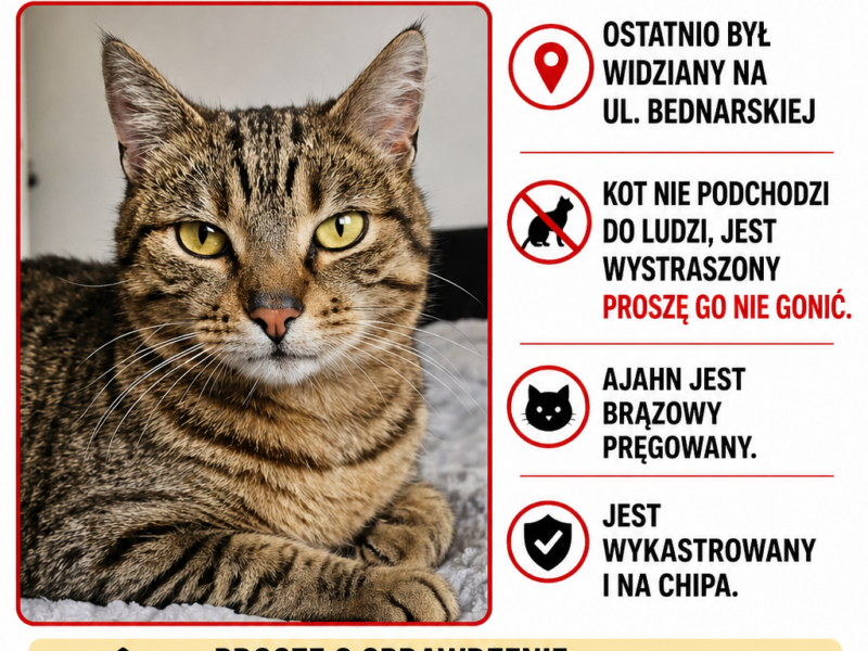 Zaginął kot Ajahn