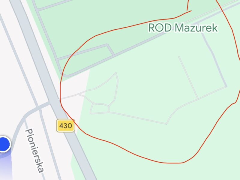 Zaginął kotek Szopen